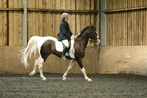 Isis Dressage Crown Farm Show 29th April 2012